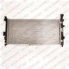 DELPHI RA10010 Radiator, engine cooling